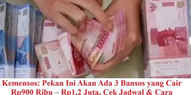 Kemensos: Pekan Ini Akan Ada 3 Bansos yang Cair Rp900 Ribu – Rp1,2 Juta, Cek Jadwal & Cara Pencairannya