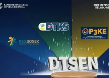 Berapa Lama Proses Pembaruan Data DTSEN Sampai Selesai?
