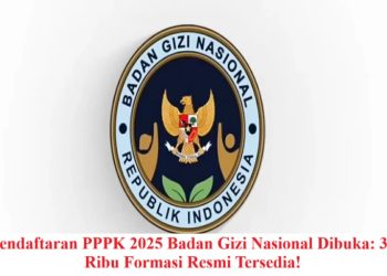 Pendaftaran PPPK 2025 Badan Gizi Nasional Dibuka: 32 Ribu Formasi Resmi Tersedia!