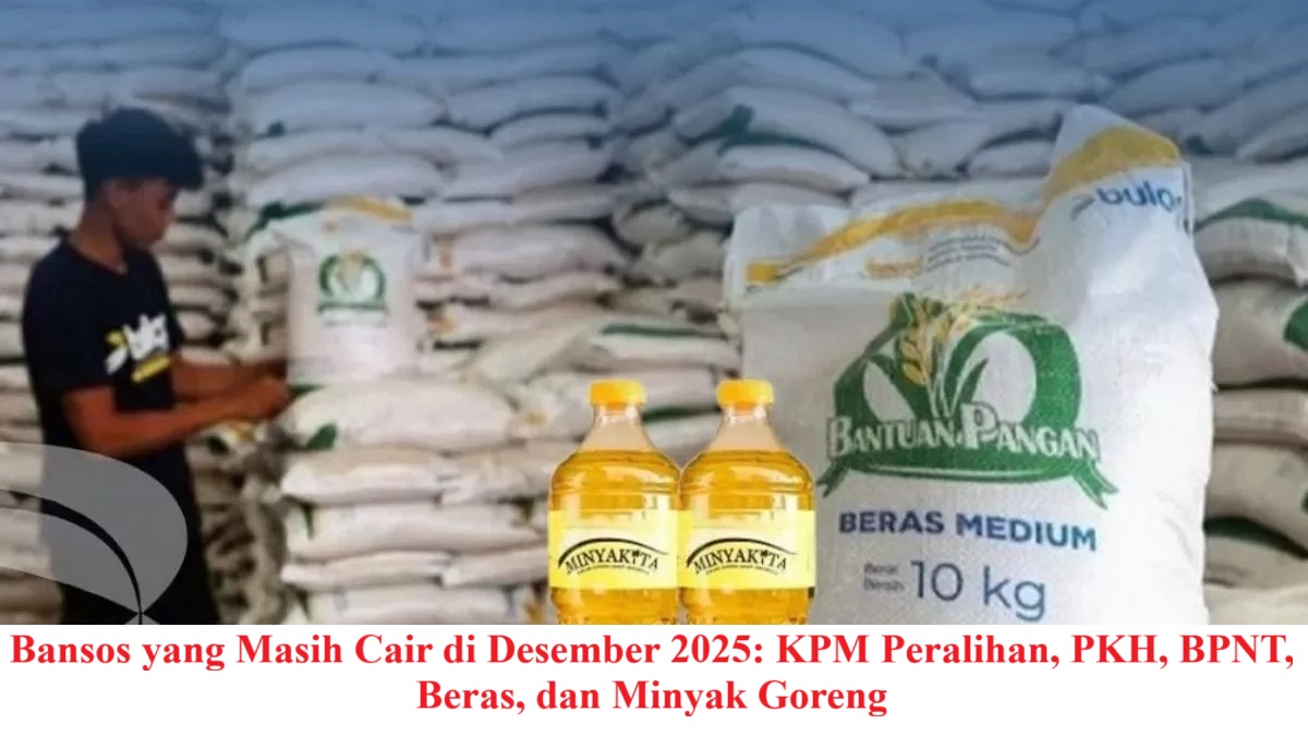 Bansos yang Masih Cair di Desember 2025: KPM Peralihan, PKH, BPNT, Beras, dan Minyak Goreng