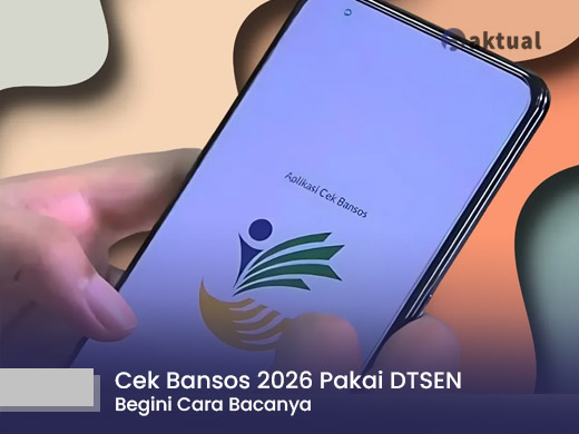 Cek Bansos 2026 Pakai DTSEN, Begini Cara Bacanya