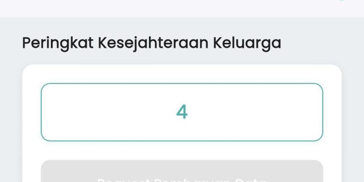 Cara Cek Desil DTSEN 2026