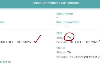 Cara Cek Penerima BPNT Juli 2026 Rp 600.000
