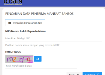 Cara Cek Desil DTSEN Juli 2026 Pakai NIK KTP untuk Cek Status PKH dan BPNT
