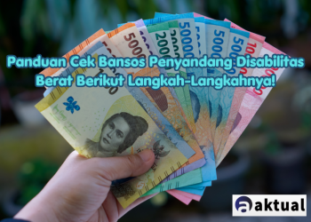 Panduan Cek Bansos Penyandang Disabilitas Berat Berikut Langkah-Langkahnya!